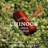 Chinook