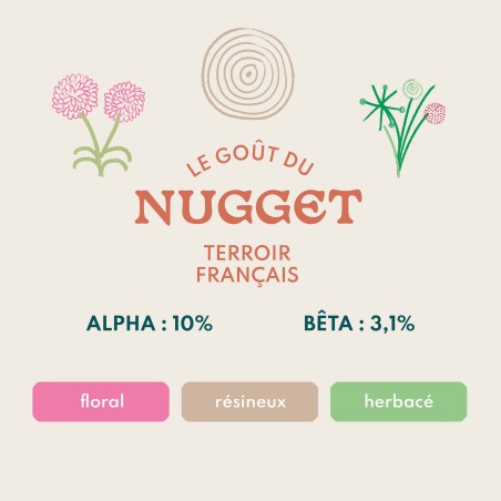 Nugget