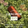 Cascade BIO
