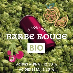 Barbe rouge BIO