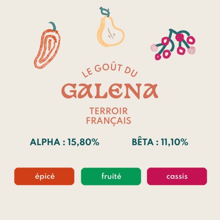 Galena
