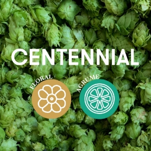 Houblon Centennial
