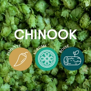 Houblon Chinook