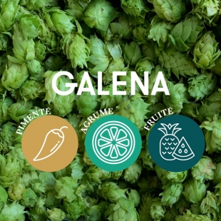 Houblon Galena