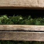 Les différents types de séchoirs pour sécher du houblon