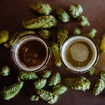 Le houblonnage de la bière : la technique du Dry Hopping