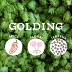 Houblon Golding