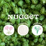 Houblon Nugget